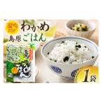 のり 海藻 わかめ AK057 島原わかめごはん 45g