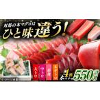 マグロ 2月中にお届け 対馬産 本マグロ 4種