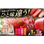 マグロ 1月中にお届け 対馬産 本マグロ 4種