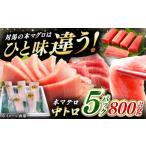 マグロ 2月中にお届け 対馬産 養殖 本マグロ