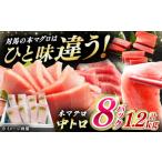 マグロ 3月中にお届け 対馬産 養殖 本マグロ