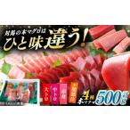 マグロ 2月中にお届け 対馬産 生 本マグロ 500g
