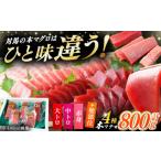 マグロ 2月中にお届け 対馬産 生 本マグロ 800g