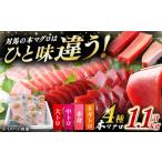 マグロ 3月中にお届け 対馬産 本マグロ 4種