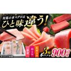 マグロ 3月中にお届け 対馬産 本マグロ 3種