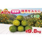 極早生みかん 約 9.8kg