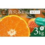 真穴みかん 約3kg