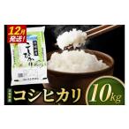 米 コシヒカリ 精米 10kg