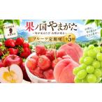 果物類 さくらんぼ 定期便5回 果ノ国やまがた
