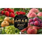 果物類 さくらんぼ 定期便5回 やまがた果実紀行