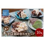 菓子 チョコレート かさまとチョコレート工場10種