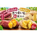 野菜類 サツマイモ 10月 発送 滝沢産 さつまいも