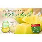高級マスクメロン 2玉