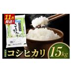 米 コシヒカリ 精米 15kg