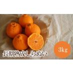 果物類 みかん 長期熟成しらぬい3kg 分
