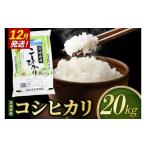米 農家の美味しいお米 精米 20kg