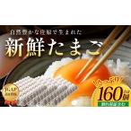 卵 鶏 烏骨鶏等 配送月選択可 新鮮 たまご 160個
