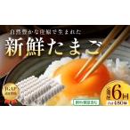 卵 鶏 烏骨鶏等 定期便 6回配送 新鮮 たまご 80個×6回