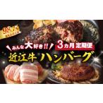 みんな大好き ハンバーグ定期便
