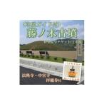 体験チケット 専属ガイド付 藤ノ木古墳を