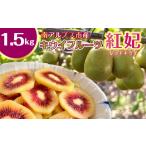 果物類 キウイフルーツ 紅妃 レッドキウイ 約1.5kg