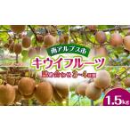 キウイフルーツ ヘイワード 3Lサイズ 約1.5kg