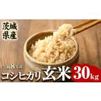 米 コシヒカリ R8年産 コシヒカリ玄米 30kg
