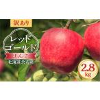 りんご 訳アリ レッドゴールド 2.8kg