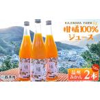 温州みかん ストレートジュース 果汁100%