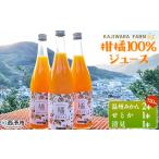 温州みかん ストレートジュース 果汁100%