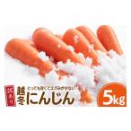 野菜類 人参 にんじん 訳あり 5kg