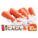 野菜類 人参 にんじん 訳あり 10kg
