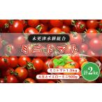 トマト ミニトマト ミニトマト1.5kg