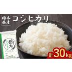 米 コシヒカリ 精米 5kg×6袋