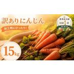野菜類 人参 訳あり にんじん 約15kg