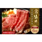 牛肉 セット 和牛 定期便 和牛セレブ 常陸牛定期便