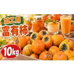果物類 柿 加工用 訳あり 富有柿 10kg