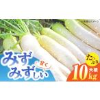 人参 大根 他根菜 大根10kg 株式会社エムツー食品開発研究所
