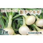 野菜類 玉ねぎ 予約受付 27年度 新玉ねぎ