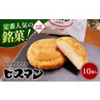 焼菓子 チョコレート 中津銘菓 ビスマン 10個入り