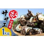 サザエ 着日指定必須 対馬産 活サザエ 1kg
