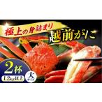 カニ ずわいガニ 11月7日 予定 冷蔵 若狭小浜港