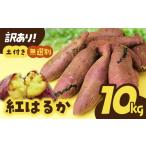 野菜類 サツマイモ 紅はるか 訳あり さつまいも