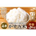 米 栽培期間中出来るだけ農薬を減らした