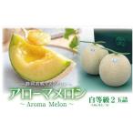 メロン メロン青肉 通年出荷 アローマメロン