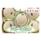メロン メロン青肉 通年出荷 アローマメロン