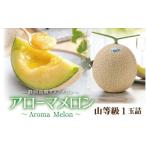 メロン メロン青肉 通年出荷 アローマメロン