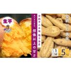 野菜類 サツマイモ 種子島 野 ファーム 安納いも