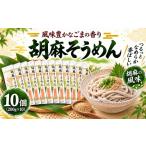 うどん 乾めん 江川太郎左衛門ちゃんの胡麻そうめん 200g×1…