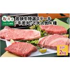 牛肉 ヒレ 若狭牛特選ステーキ詰め合わせ